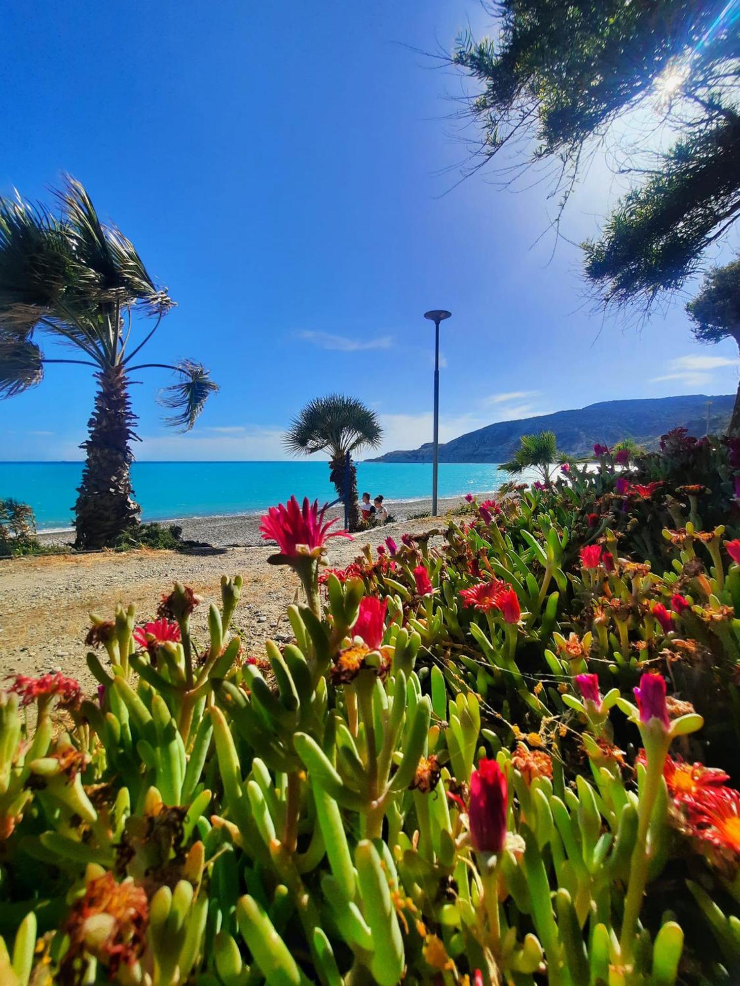Gorgeous Seaview House Villa Pissouri Exteriör bild
